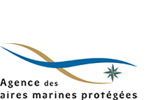 Logo AAMP