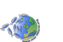 Logo Mer et littoral